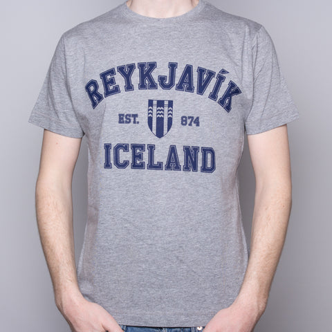 Reykjavík College - T-Shirt - Gray - Idontspeakicelandic